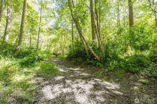 291 Grandview Dr, Sequim, WA 98382 - Photo 4