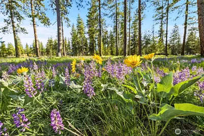 114 Wanawish Loop, Cle Elum, WA 98922 - Photo 28