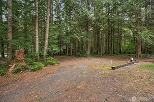 10 N Duckabush Dr W, Hoodsport, WA 98548 - Photo 28