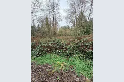 0 Xxxx 238th Avenue NE, Redmond, WA 98053 - Photo 2