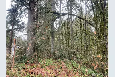 0 Wa 505, Toledo, WA 98591 - Photo 2