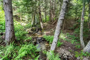 281 Wilderness Ln, Easton, WA 98925 - Photo 24