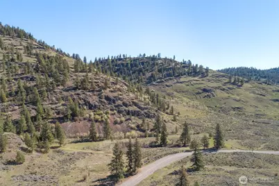 1 Lot Whiskey Mountain Ranches, Tonasket, WA 98855 - Photo 18