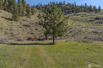 1 Lot Whiskey Mountain Ranches, Tonasket, WA 98855 - Photo 8