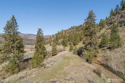 1 Lot Whiskey Mountain Ranches, Tonasket, WA 98855 - Photo 20