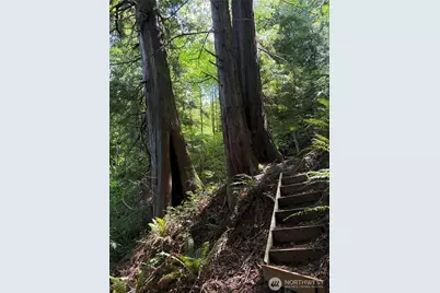 0 Tskutsko Point Road, Quilcene, WA 98376 - Photo 30