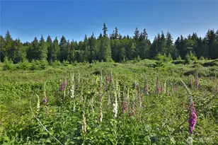 2062 Goodell Rd, Freeland, WA 98249 - Photo 1