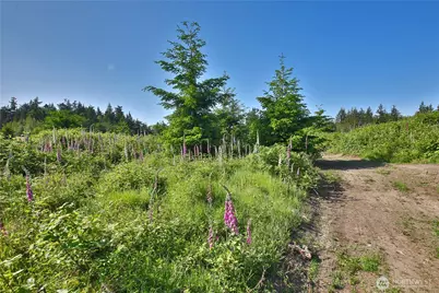 2062 Goodell Road, Freeland, WA 98249 - Photo 14