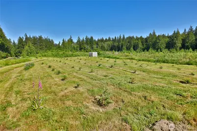 2062 Goodell Road, Freeland, WA 98249 - Photo 10
