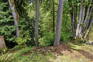 11808 57th Ave SE, Snohomish, WA 98296 - Photo 36