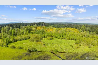 0 Charbonneau Lane SE, Yelm, WA 98597 - Photo 10