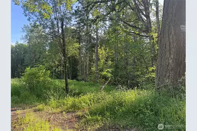237 Haussler Road, Kelso, WA 98626 - Photo 6