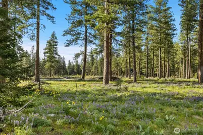 53 Wanawish Loop, Cle Elum, WA 98922 - Photo 4