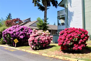 2532 S 317th St, Federal Way, WA 98003 - Photo 38
