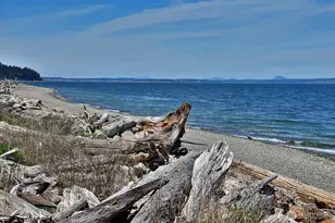 655 Race Rd, Coupeville, WA 98239 - Photo 36