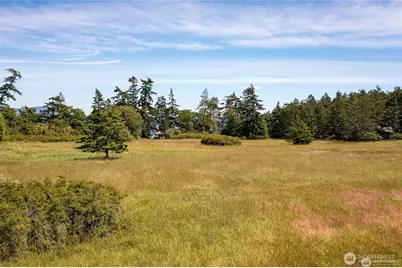 0 Eliza Road, Lopez Island, WA 98261 - Photo 10