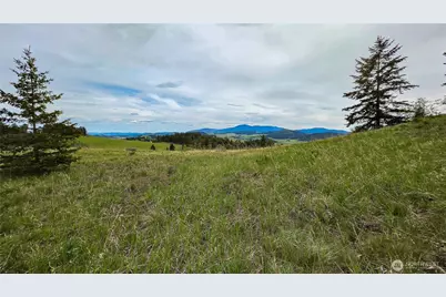 196 Tbd Davies Road, Oroville, WA 98844 - Photo 10