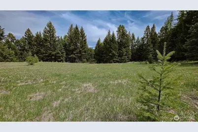196 Tbd Davies Road, Oroville, WA 98844 - Photo 4