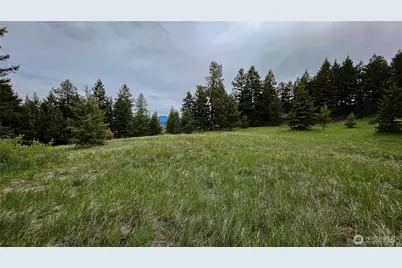 196 Tbd Davies Road, Oroville, WA 98844 - Photo 12