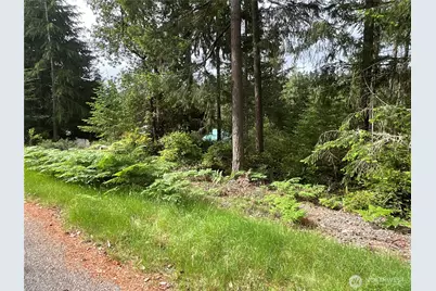 11018 Matthews Way, Anderson Island, WA 98303 - Photo 2