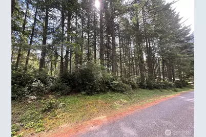 11321 Lake Josephine Avenue, Anderson Island, WA 98303 - Photo 2