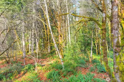 1027 Turkey Road NW, Olympia, WA 98502 - Photo 8