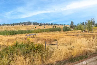 154 Knox Road, Riverside, WA 98849 - Photo 2