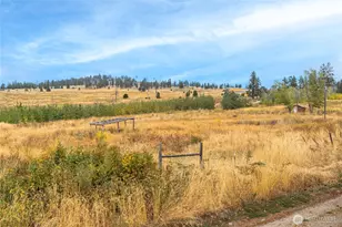 154 Knox Rd, Riverside, WA 98849 - Photo 2