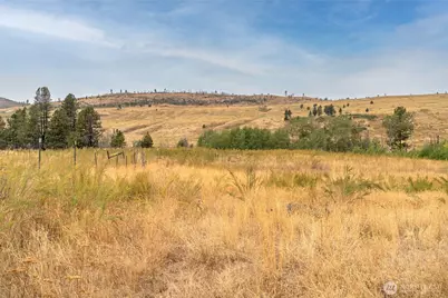 154 Knox Road, Riverside, WA 98849 - Photo 8