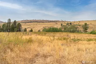 154 Knox Rd, Riverside, WA 98849 - Photo 8