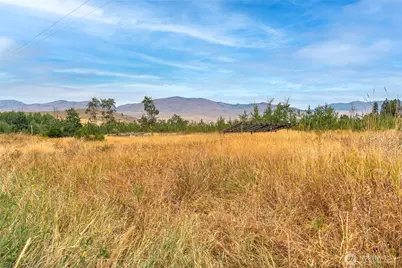 154 Knox Road, Riverside, WA 98849 - Photo 24