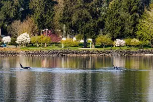 1717 E 16th St, Bremerton, WA 98310 - Photo 18