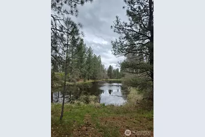 32312 North Pine Creek Road S, Spangle, WA 99031 - Photo 26