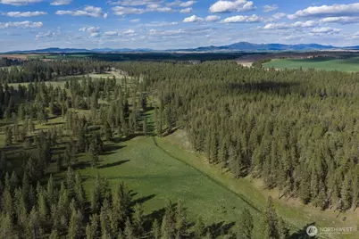 32312 North Pine Creek Road S, Spangle, WA 99031 - Photo 16