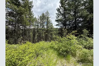 0 Lot 131 Slippery Hill Road, Republic, WA 99166 - Photo 1