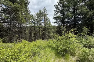 0 Lot 131 Slippery Hill Rd, Republic, WA 99166 - Photo 1
