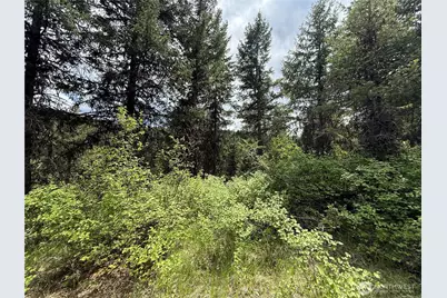 0 Lot 131 Slippery Hill Road, Republic, WA 99166 - Photo 2