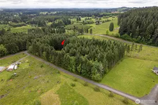 123 Lentz Rd N, Winlock, WA 98596 - Photo 38