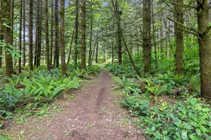 123 Lentz Rd N, Winlock, WA 98596 - Photo 30