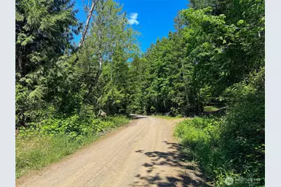 111 Xxx Rocky Brook Road, Brinnon, WA 98320 - Photo 16
