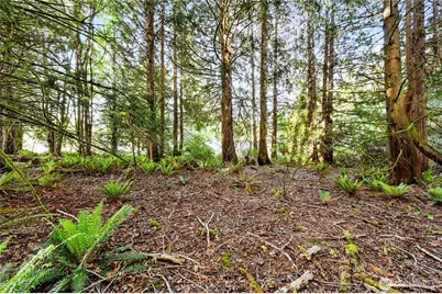 0 Rainier Lane, Port Ludlow, WA 98365 - Photo 6