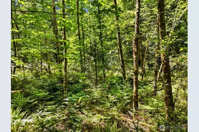 0 Tr 15 E Jared Road, Shelton, WA 98584 - Photo 2