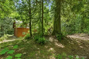 19150 312th Ave NE, Duvall, WA 98019 - Photo 28