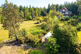 83 Octopus Ct, Quilcene, WA 98376 - Photo 36
