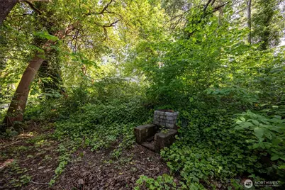 0 Mayes Street SE, Olympia, WA 98503 - Photo 8