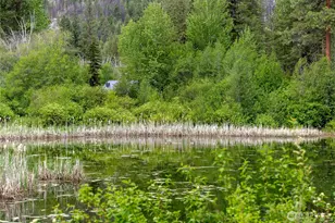 69 Fs 5010 Rd - Chewuch, Winthrop, WA 98862 - Photo 32