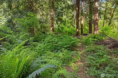 2711 S Lake Roesiger Road, Snohomish, WA 98290 - Photo 30