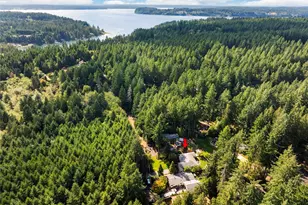 12805 108th St, Anderson Island, WA 98303 - Photo 36