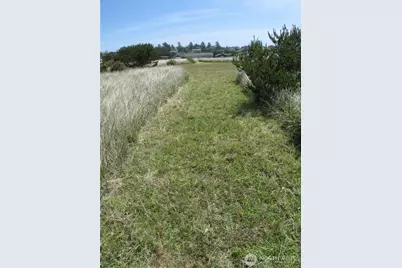 34613 F Street, Ocean Park, WA 98640 - Photo 12