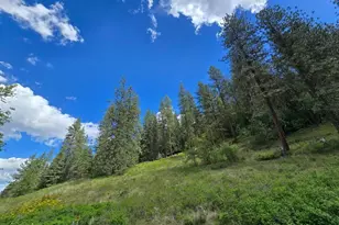 1612 Rickey Canyon Rd, Kettle Falls, WA 99141 - Photo 34